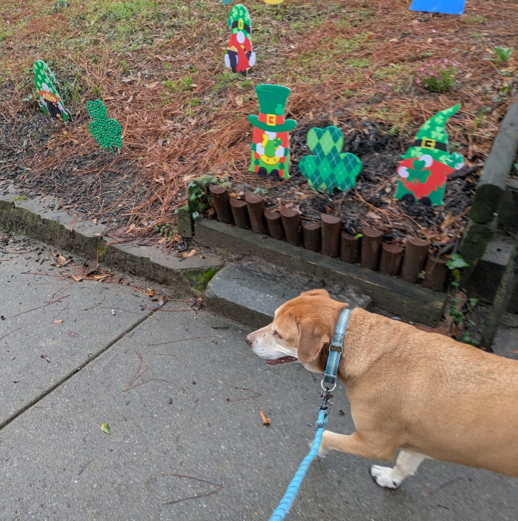 Murphy on St. Patrick's Day